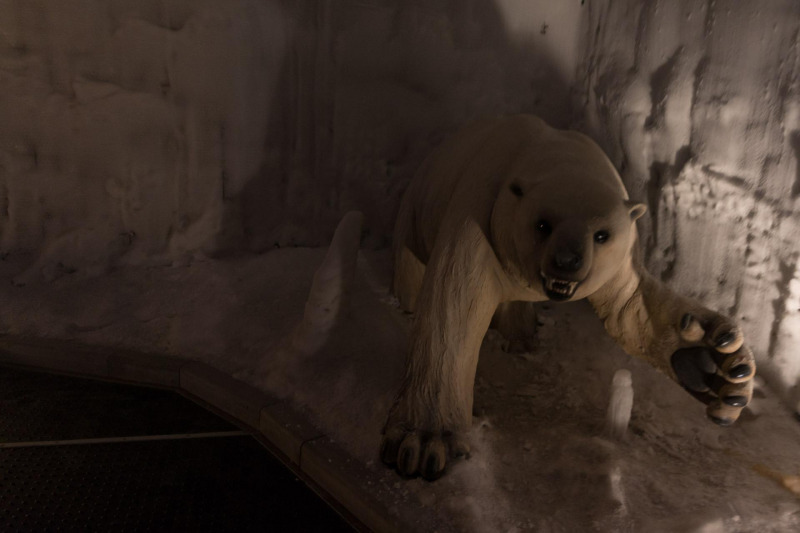 Ice World