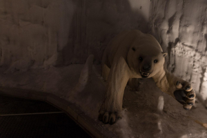 Ice World