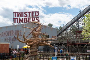 Twisted Timbers