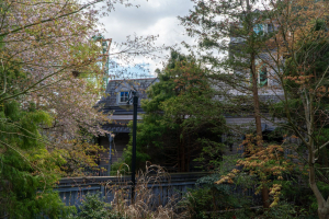 Boo Blasters on Boo Hill