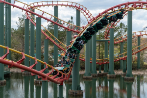 Anaconda
