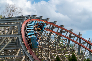 Twisted Timbers