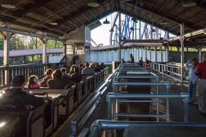 Adventure Express • Arrow Mine Train