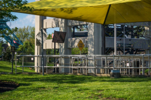 Backlot Stunt Coaster • Premier Rides Special Effects Coaster