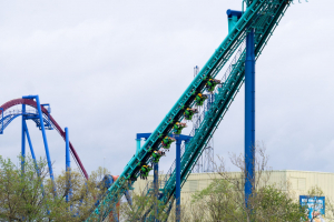 Invertigo • Vekoma Invertigo