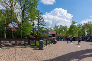 The Beast • In-House built Wooden Coaster
