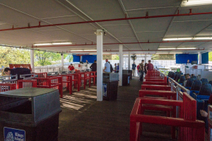 The Racer • PTC Wooden Coaster