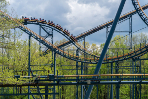 Vortex • Arrow Looping Coaster