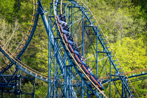 Vortex • Arrow Looping Coaster