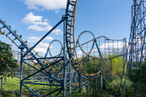 Vortex • Arrow Looping Coaster