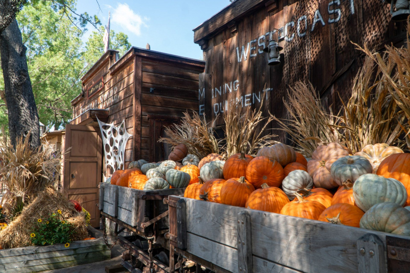 Knott's Berry Farm