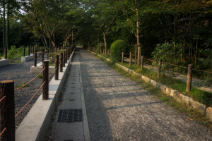 Kyoto