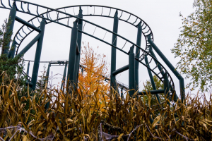 Feuerdrache • Zierer Force Five