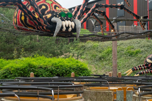Spinning Spider