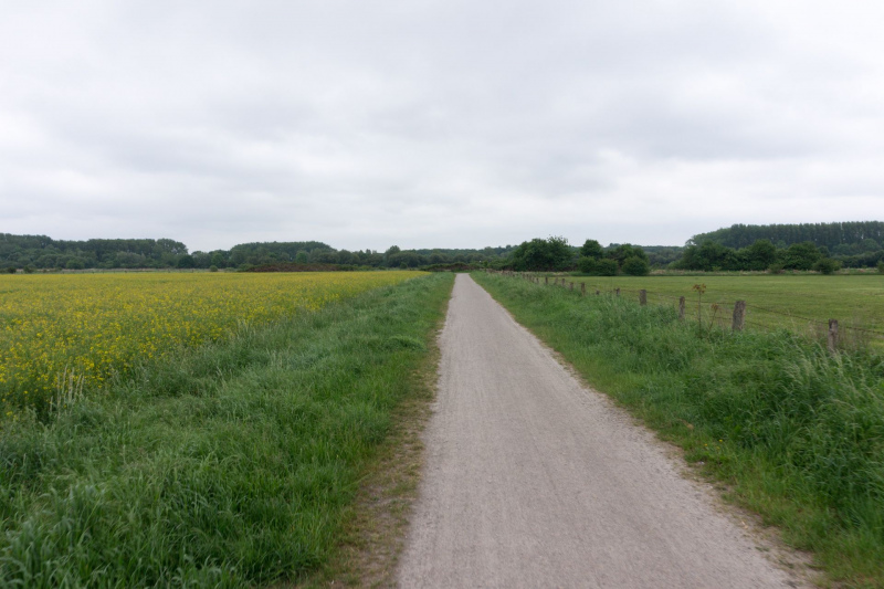 Leine-Radweg