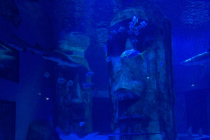 Sea Life London
