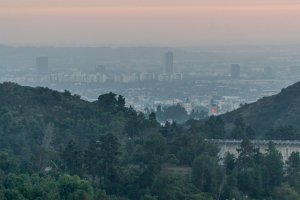 Hollywood