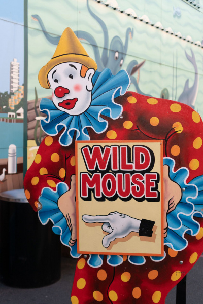 Wild Mouse • Hopkins & Pearce Wooden Wild Mouse