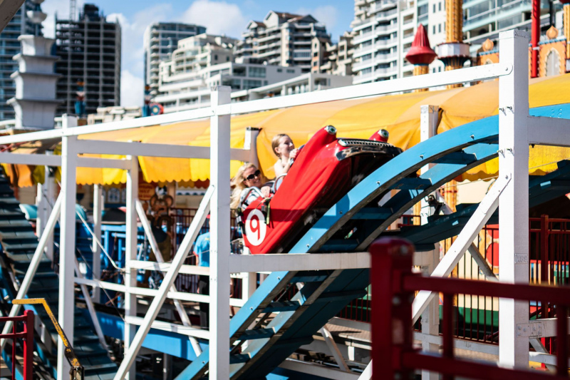 Wild Mouse • Hopkins & Pearce Wooden Wild Mouse