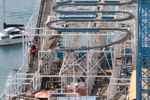 Wild Mouse • Hopkins & Pearce Wooden Wild Mouse