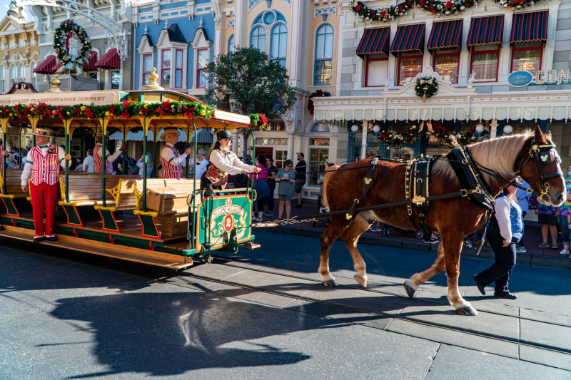 Magic Kingdom