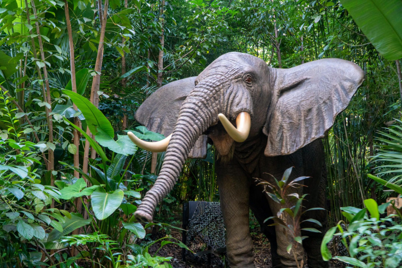 Jingle Cruise
