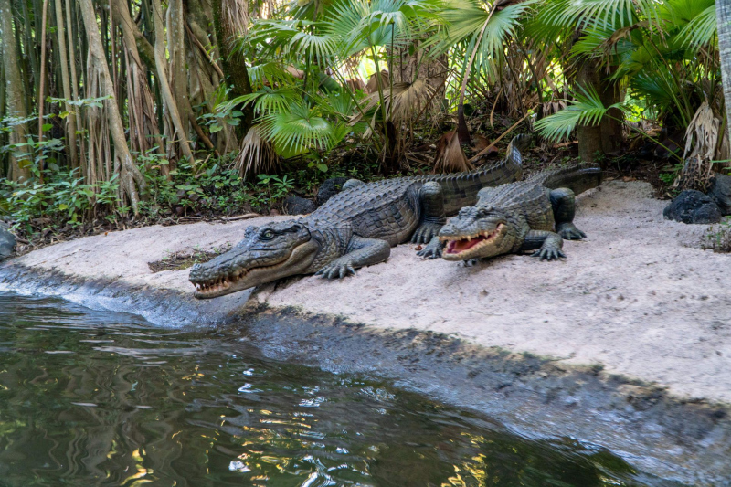 Jingle Cruise