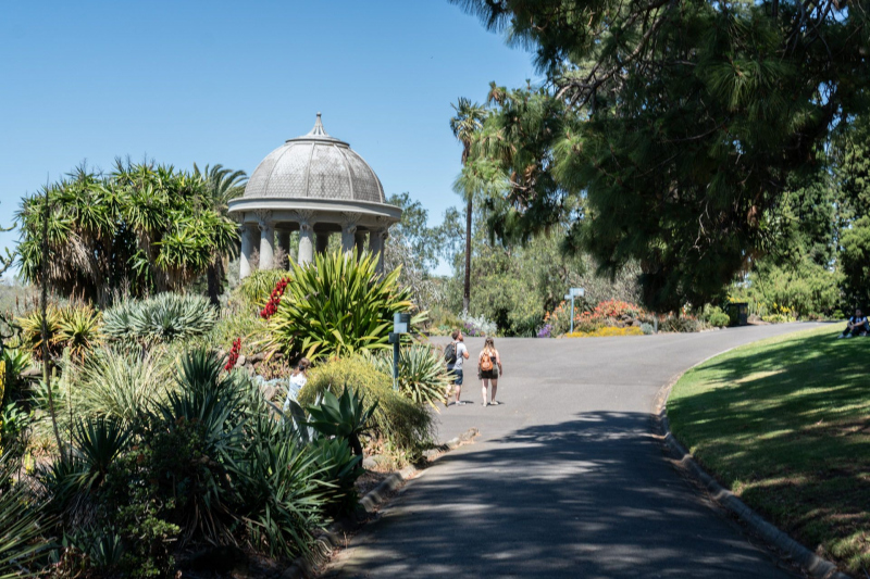 Melbourne Royal Botanical Gardens