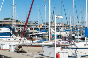 Monterey