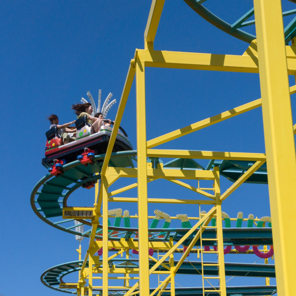 Wild Mouse