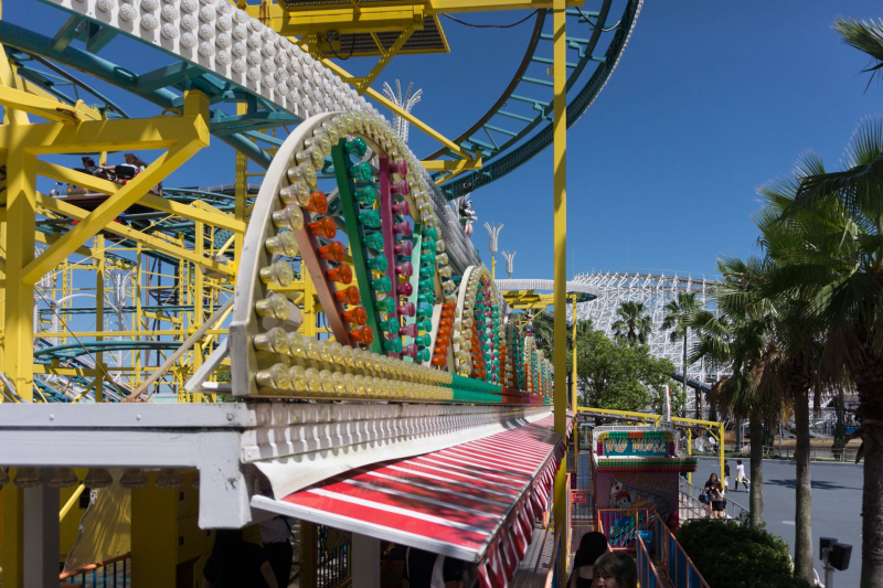 Wild Mouse