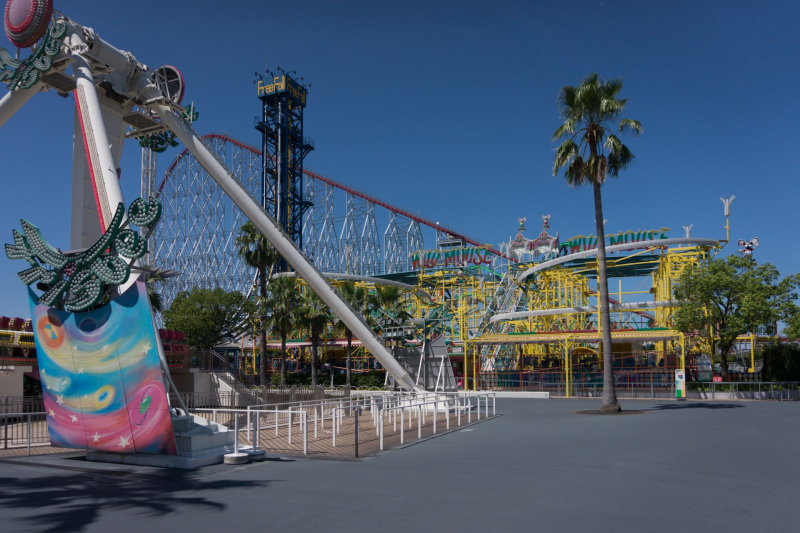 Wild Mouse