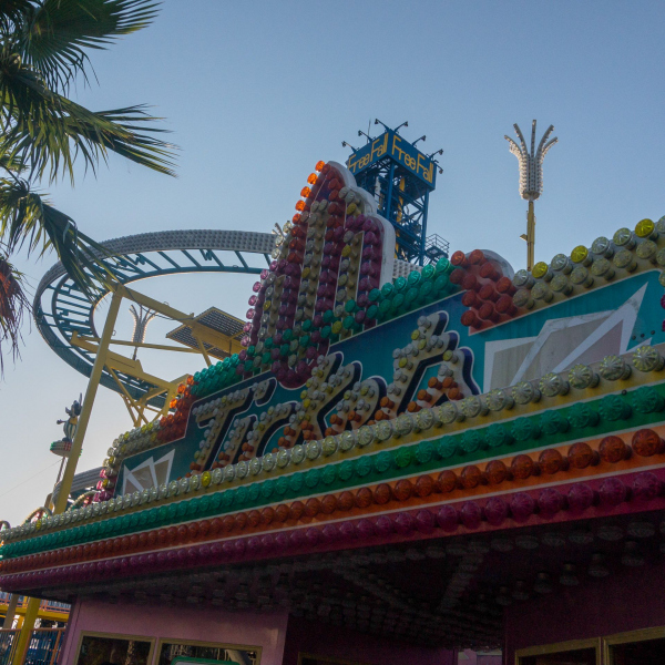Wild Mouse