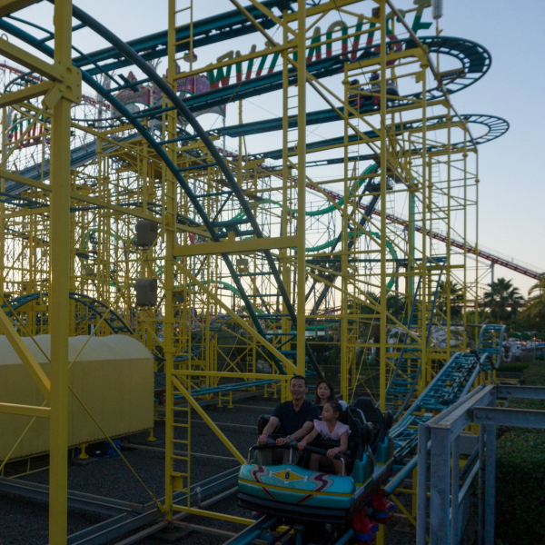 Wild Mouse