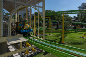 Peter Rabbit Coaster