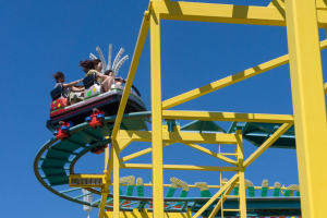 Wild Mouse