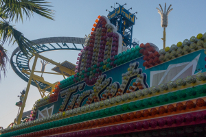 Wild Mouse