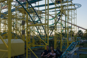 Wild Mouse