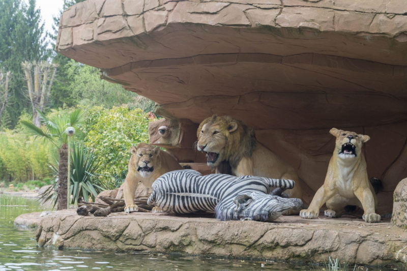 Africa Cruise
