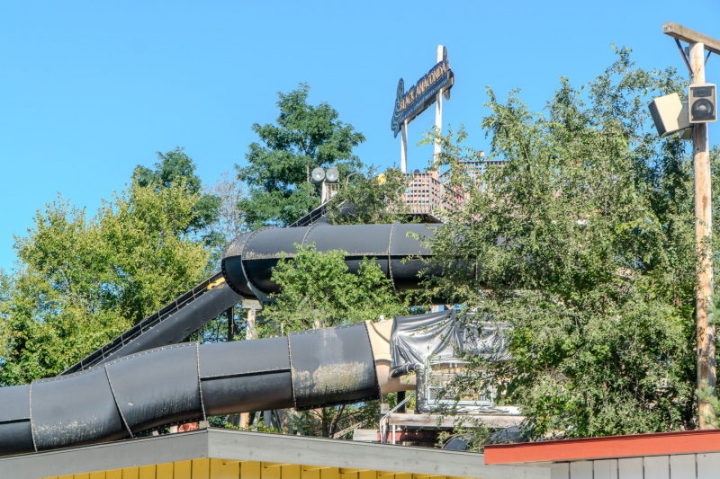 Black Anaconda