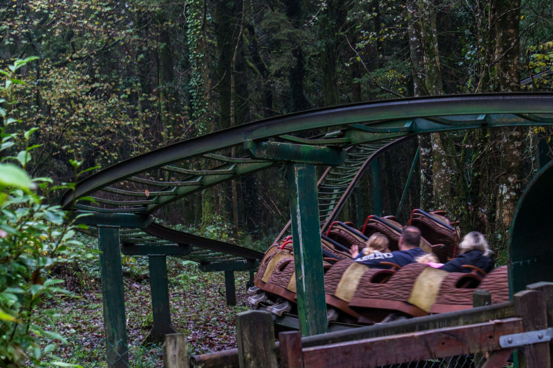 Treetops
