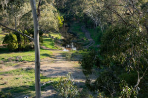 Oriental Claims • Omeo