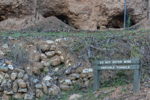 Oriental Claims • Omeo