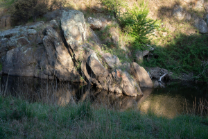 Oriental Claims • Omeo