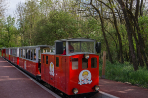 Le Petit Train