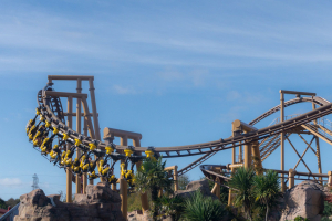 Flight of the Pterosaur