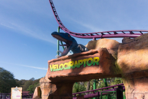 Velociraptor
