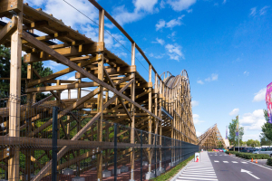 Heidi • GCI Wooden Coaster