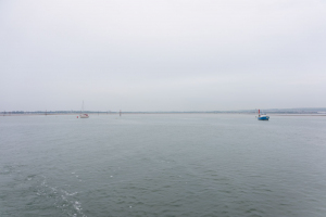 Harbour Tour