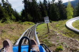 Bayerwald Coaster • Wiegand Alpine Coaster